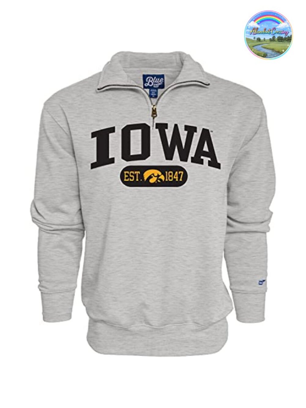 NCAA Iowa Hawkeyes Men's Quarter Zip Sweatshirt Twill Applique Fleece